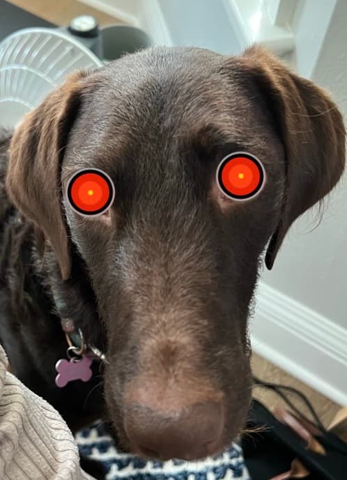 Mara the dog, as robot